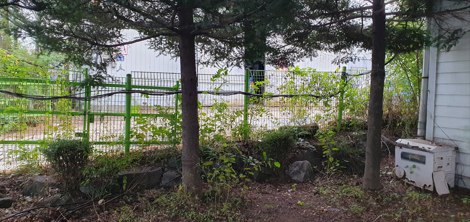 1785020428_QiujJYaC_218745caa10fc7a966db81abed587f570d910458.jpg 이미지크게보기