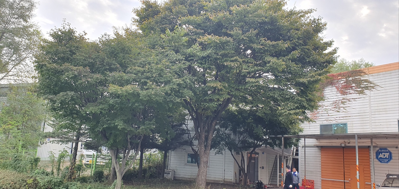 1785020428_XD9IF6Ko_52896d556427032e57a33384398b5fd8331f84fc.jpg 이미지크게보기
