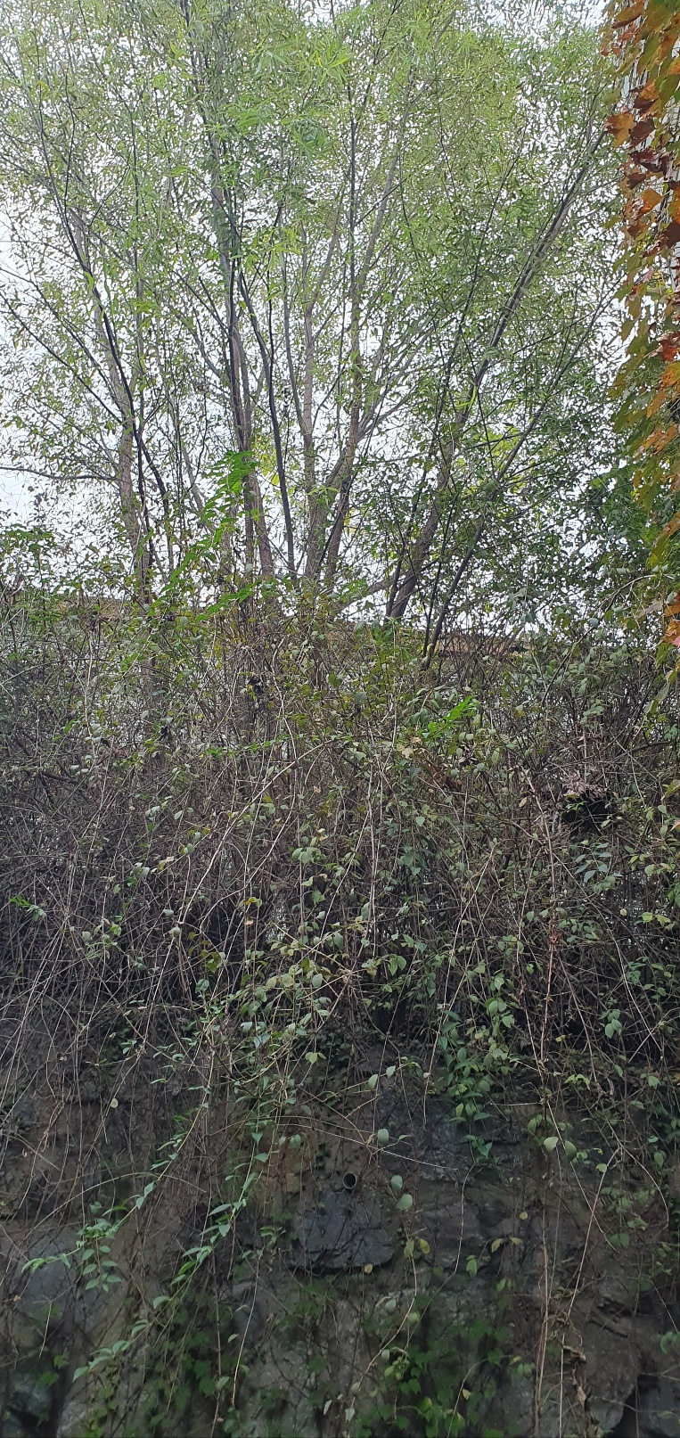 1785020428_kUqpj6Nr_357ecaf8ebbd410205ef04ad80e088c9ba218da8.jpg 이미지크게보기
