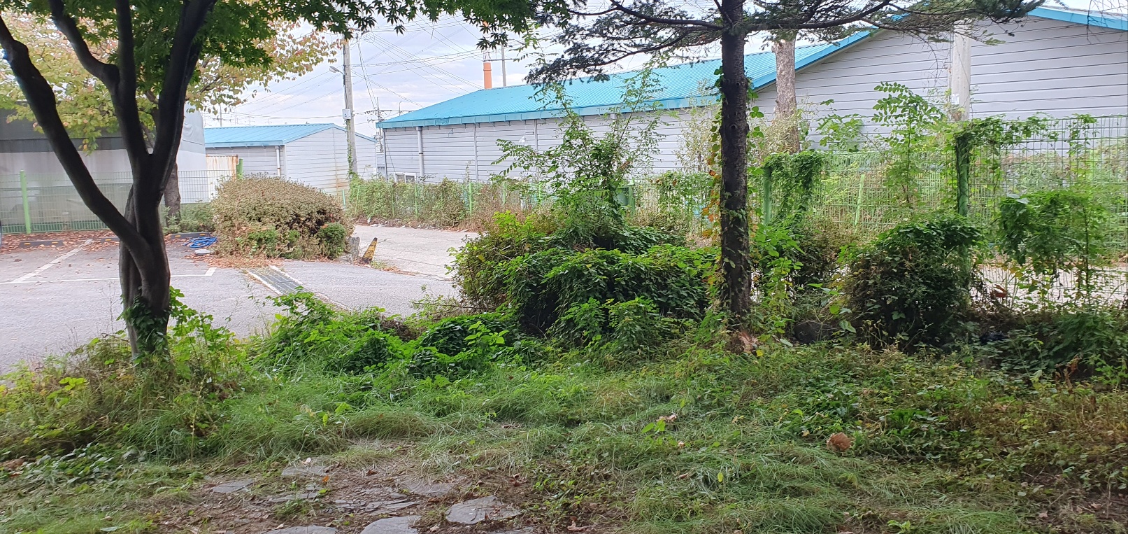 1785020428_tfpcg4Qj_bcc1c4fcbd4a728d195a6a2aa9339bc83d8de42c.jpg 이미지크게보기