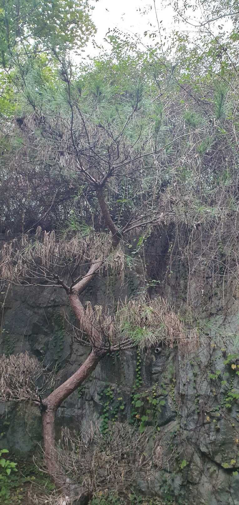 1785020428_uPzSOato_70e49a2309f8b8854962632bae3671ce54e0205b.jpg 이미지크게보기