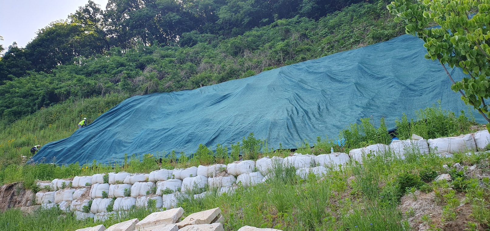 1785053288_LRWlXt0j_311f6929aab58a505e4af856841f85d704f17ba6.jpg 이미지크게보기