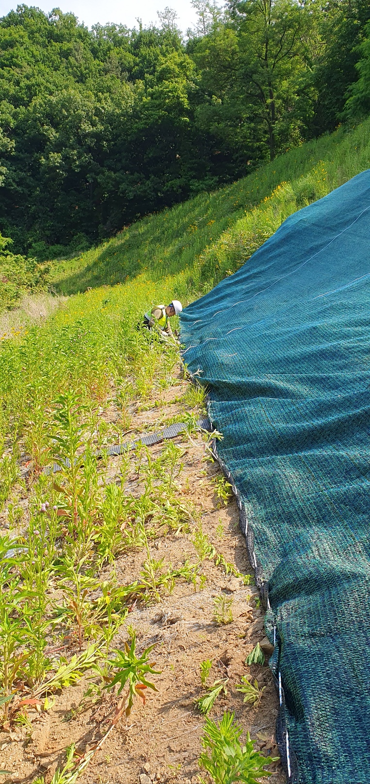 1785053288_oxWKduR5_4990b7f2aabab4284e9004439385f78725805bcb.jpg 이미지크게보기
