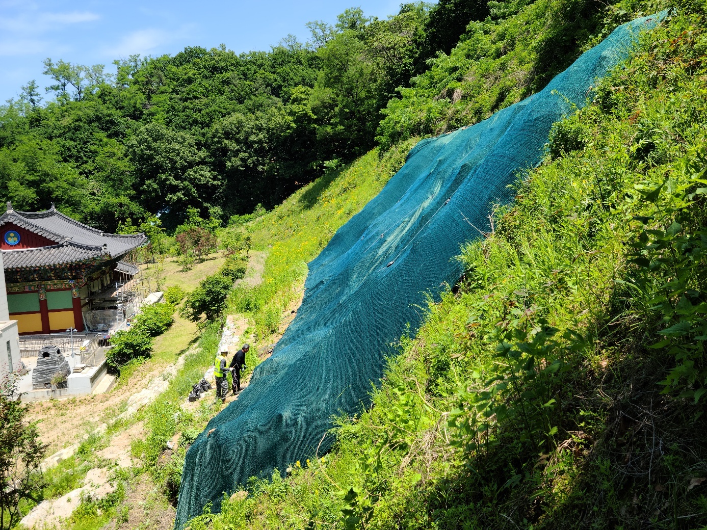 1785053288_q0P4MH3O_1dacfaa28c71e8f20a3f0f5437b9de30f94b0ced.jpg 이미지크게보기