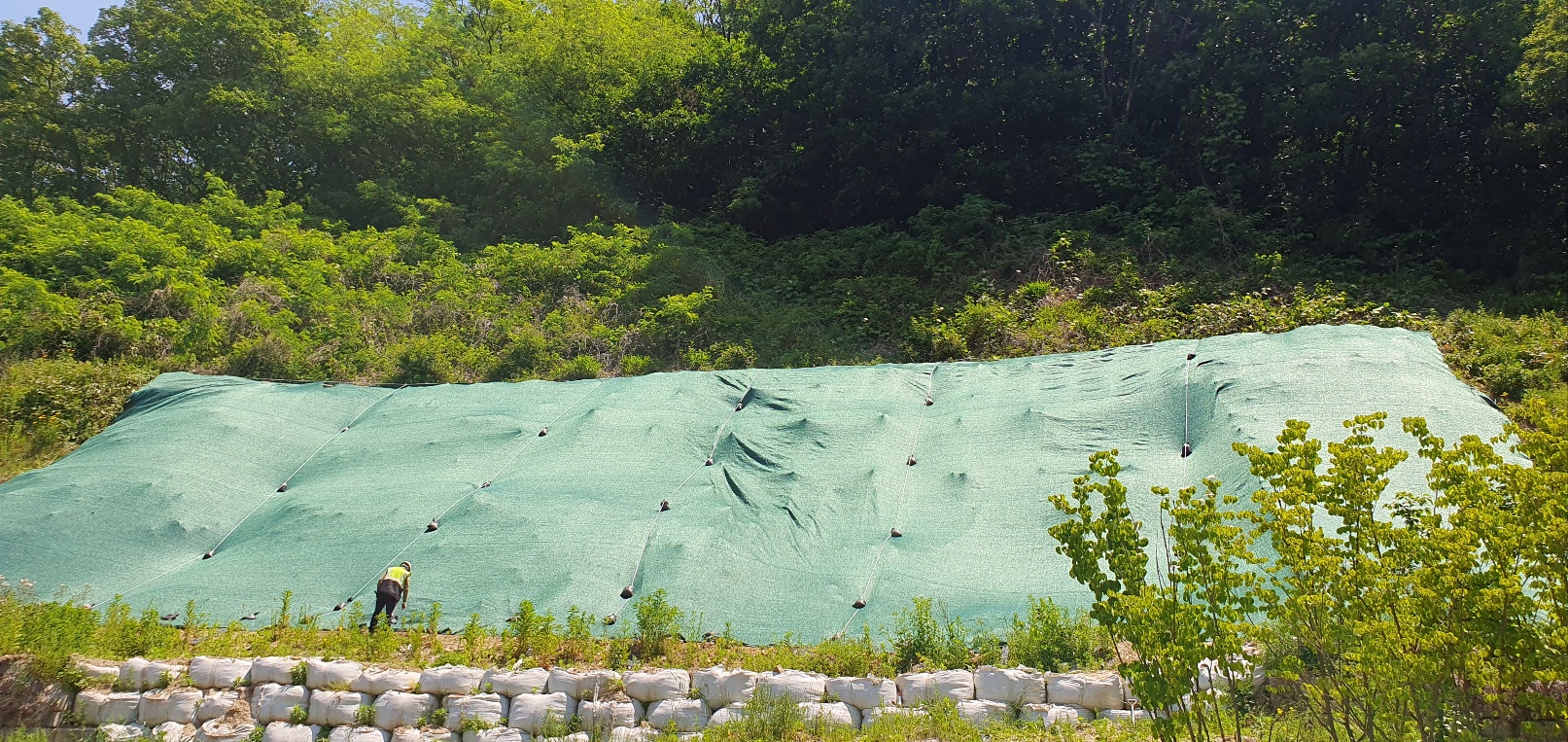 1785053288_tK2vSNZ5_629a0f682faf6fffeadb0082b384ddeee49498e5.jpg 이미지크게보기