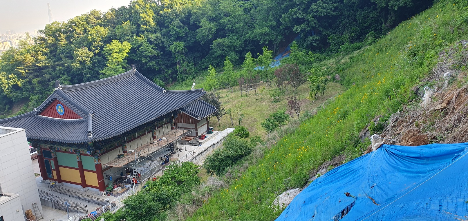 1785053288_uPD3VLpX_ea79b47252708f0bc2265a0fcd8a308f0757618e.jpg 이미지크게보기