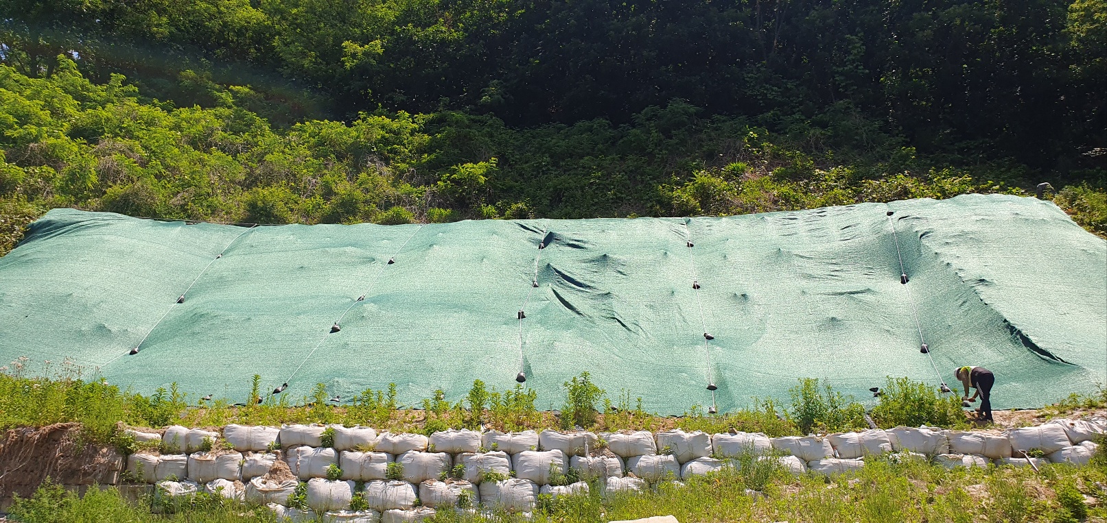 1785053288_yRi9KTLC_bcd3fd5607c64b350764f0116c4e2804b32fabe9.jpg 이미지크게보기