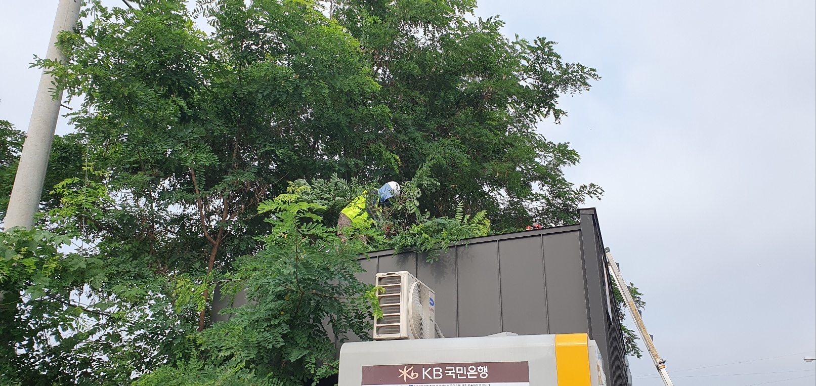 1785053974_AMQ6ZGNR_9a92bf7deb2e2ba1a28c339f812eede713571db4.jpg 이미지크게보기