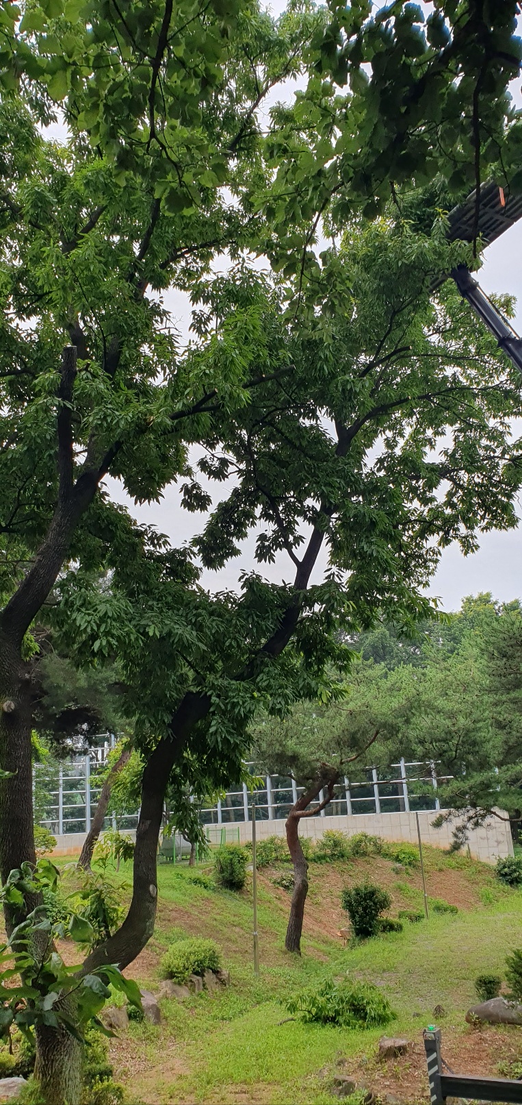 1785053974_Jsp4CtyK_c7e2b00b9886463f7d465284c4cd2340245f3902.jpg 이미지크게보기