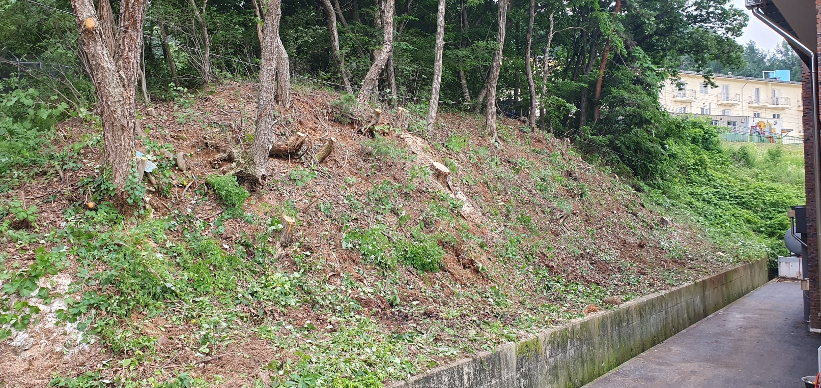 1785053974_WUsCAlwR_63156d0ea52f2d2f9b82f37a403ebdbaf7c58cb7.jpg 이미지크게보기