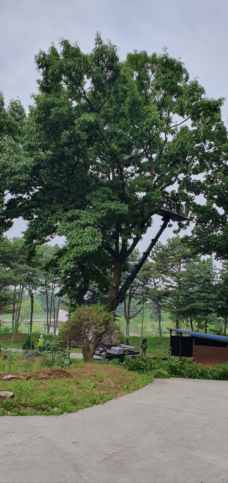 1785053974_a2fMwQDg_0e05f6c563ead7302a999efeec2d6078d57a9e85.jpg 이미지크게보기