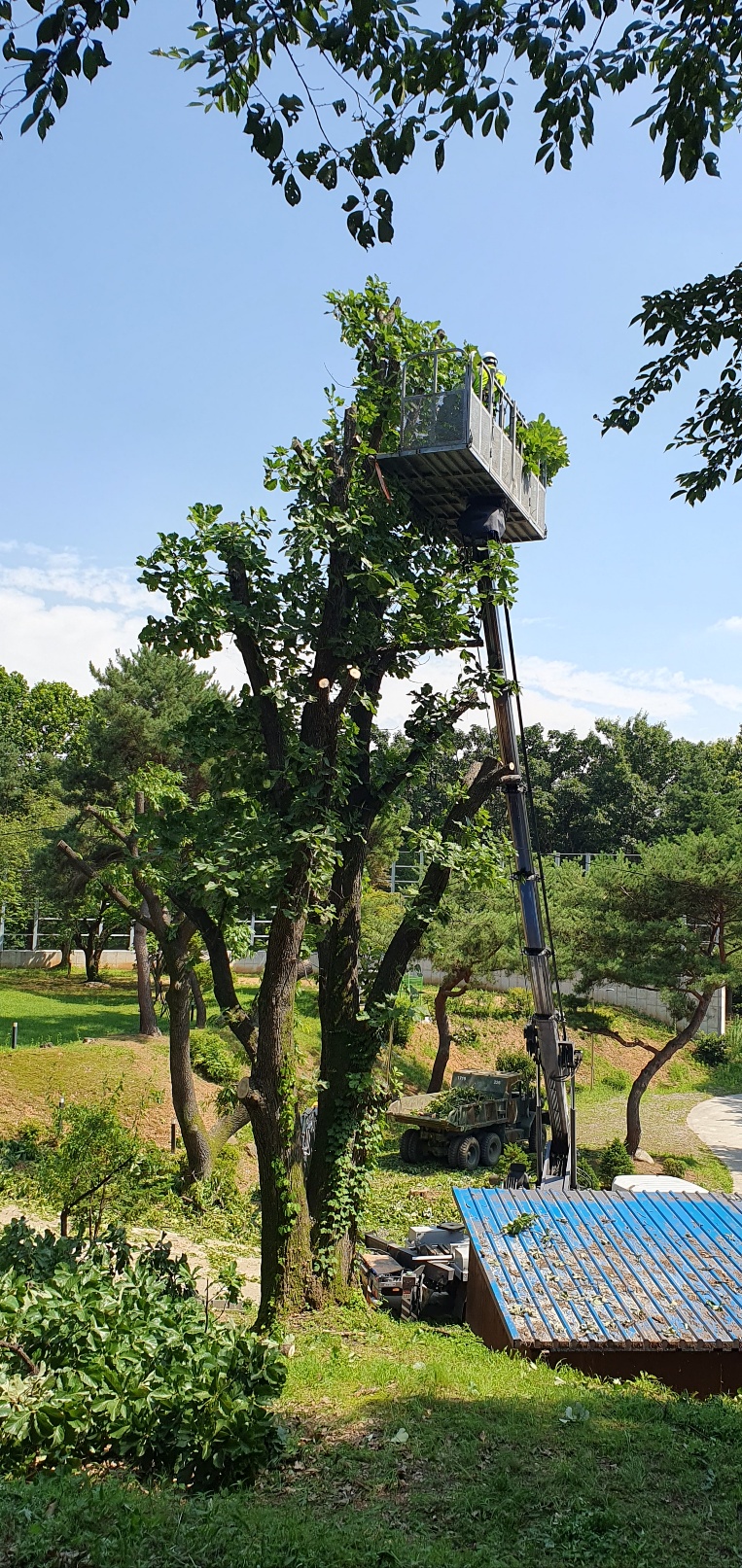 1785053974_fi1l0zSd_f9f8d048030d18be0d93f3bc6f7b9f21c21fe25b.jpg 이미지크게보기