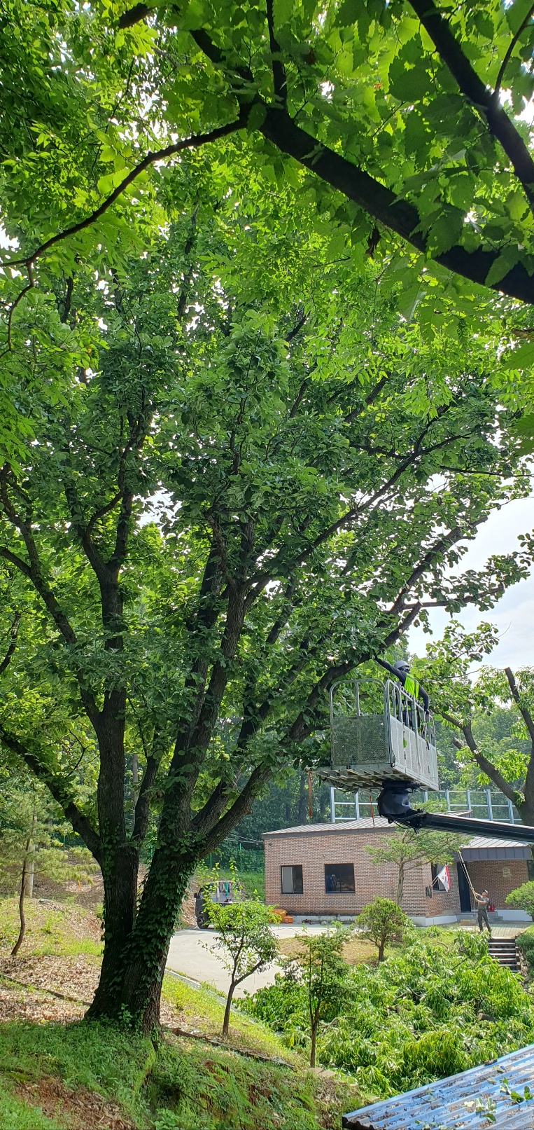 1785053974_oAwqPJjd_c5940fdc984bdf4ccba2cb0e172778c1384d1f0d.jpg 이미지크게보기