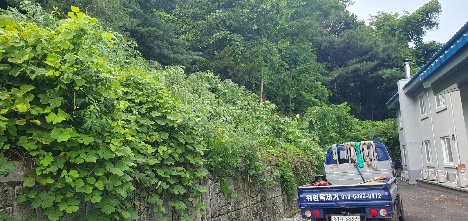 1785053974_rnypPCKV_ac6349dc53205ac2d4d233e516fd136566538d2a.jpg 이미지크게보기