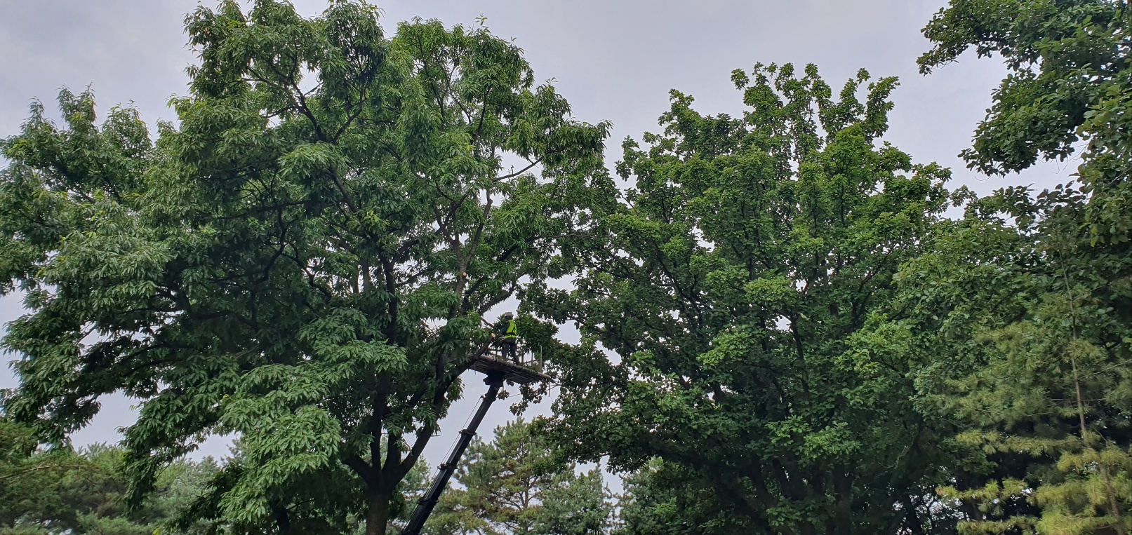 1785053974_vFaM642C_1a620fe129e91d6a6bb688742d2950c5e3667fb6.jpg 이미지크게보기