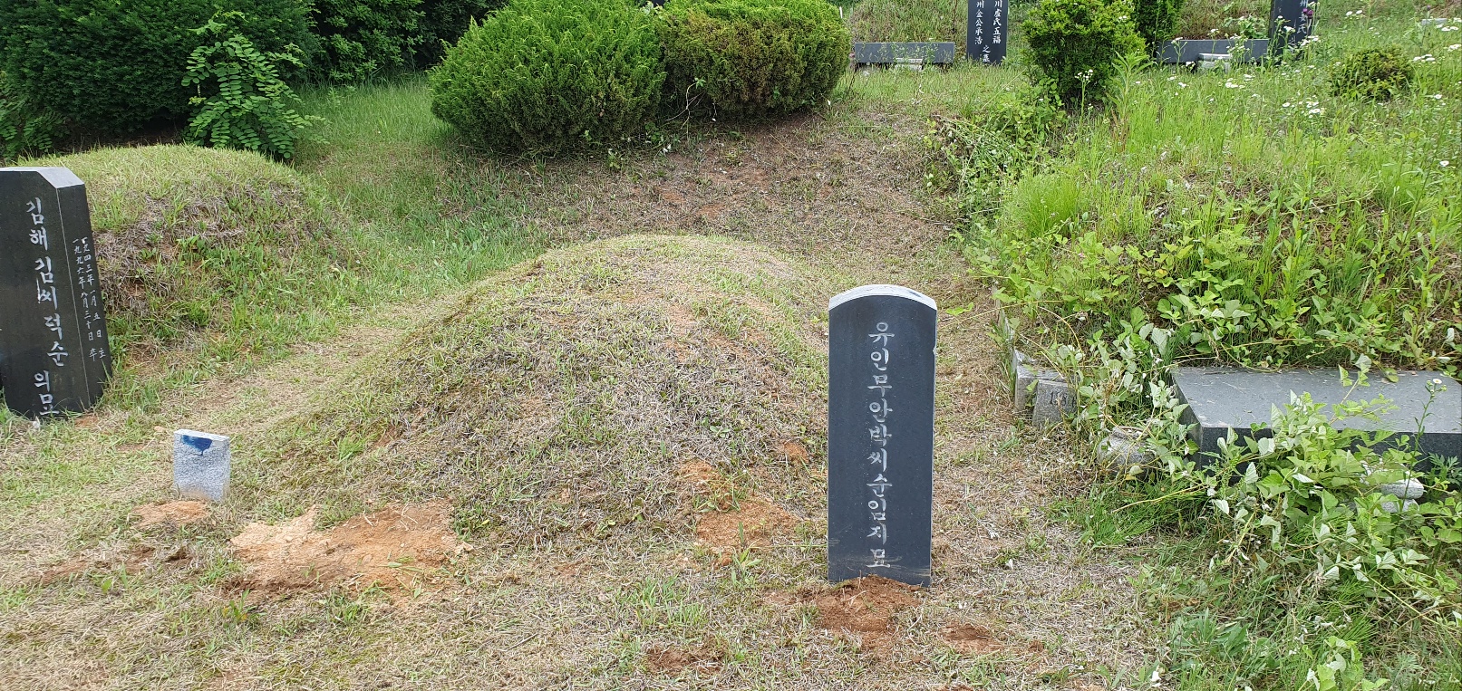 1938573520_ExqocWpL_f9818f912c961f16ee20971d3b7e73a62fbd6a90.jpg 이미지크게보기
