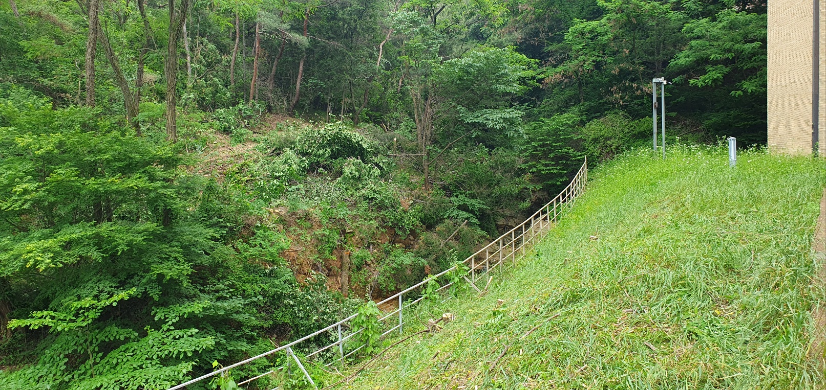 1938573520_Gk70JB1Y_0475457b6333c919a1765d25c016bf3475250113.jpg 이미지크게보기