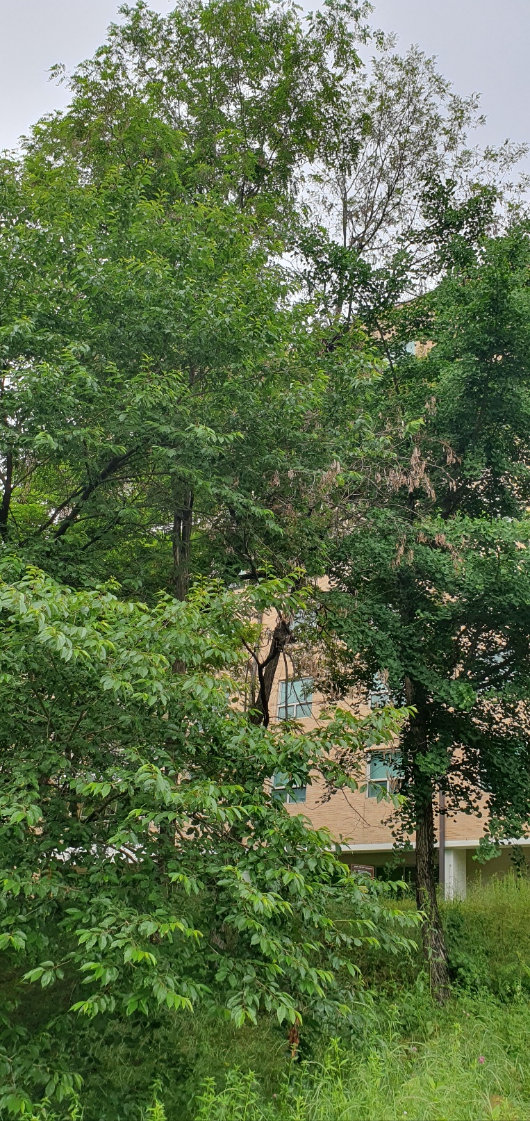 1938573520_n2xT6e3o_323fd5ebd46163b040ab2a689f13847f00b435bc.jpg 이미지크게보기