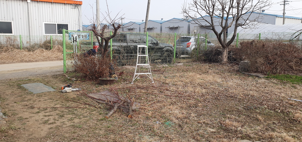 2000769928_SGdD1Uwy_c835f0e08684f35ba0f701fde04d94015c65a5d9.jpg 이미지크게보기