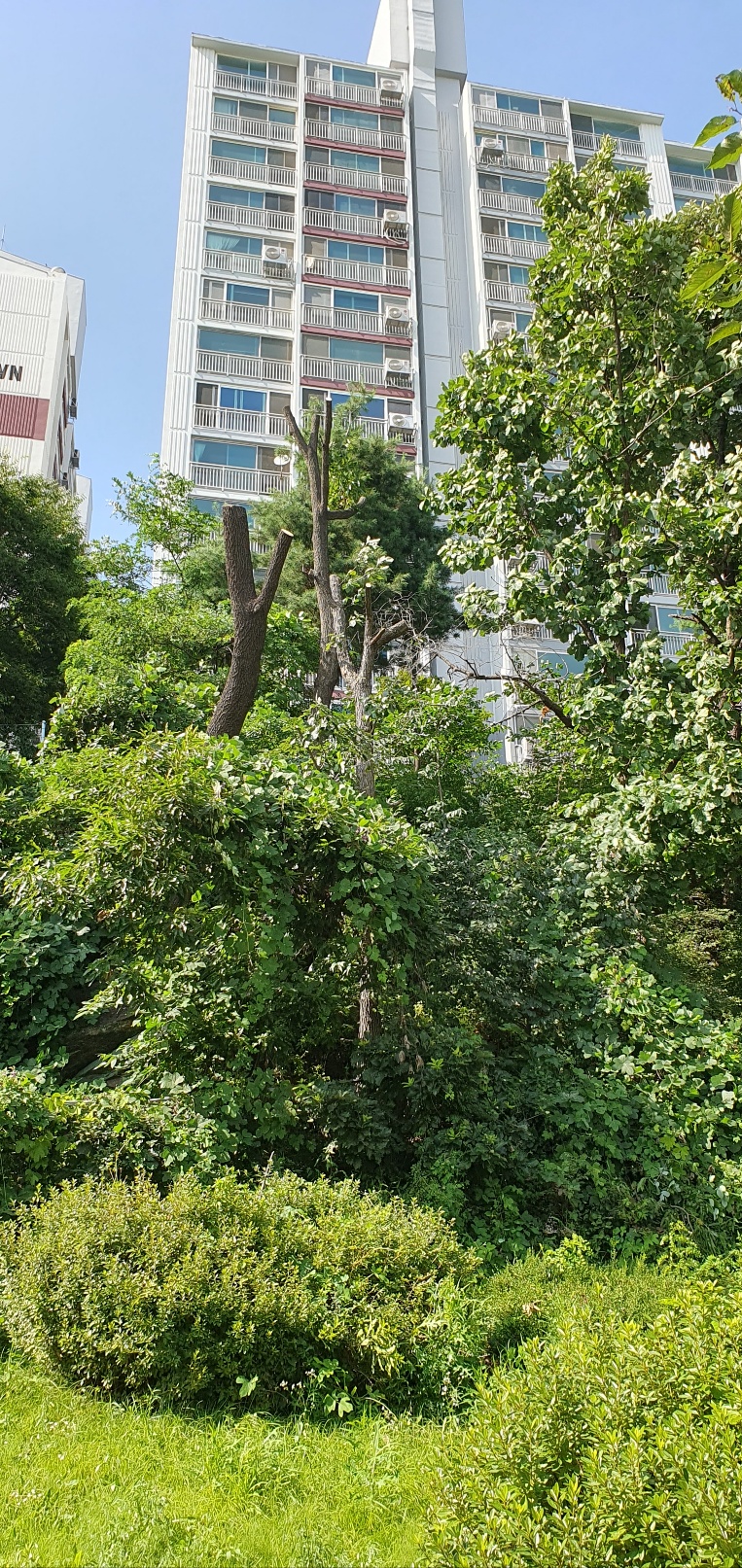 /user/f/flower5848/editor/2307/7346dca450e1fee1350a2e71378f98bf_1690467358_3839.jpg 이미지크게보기