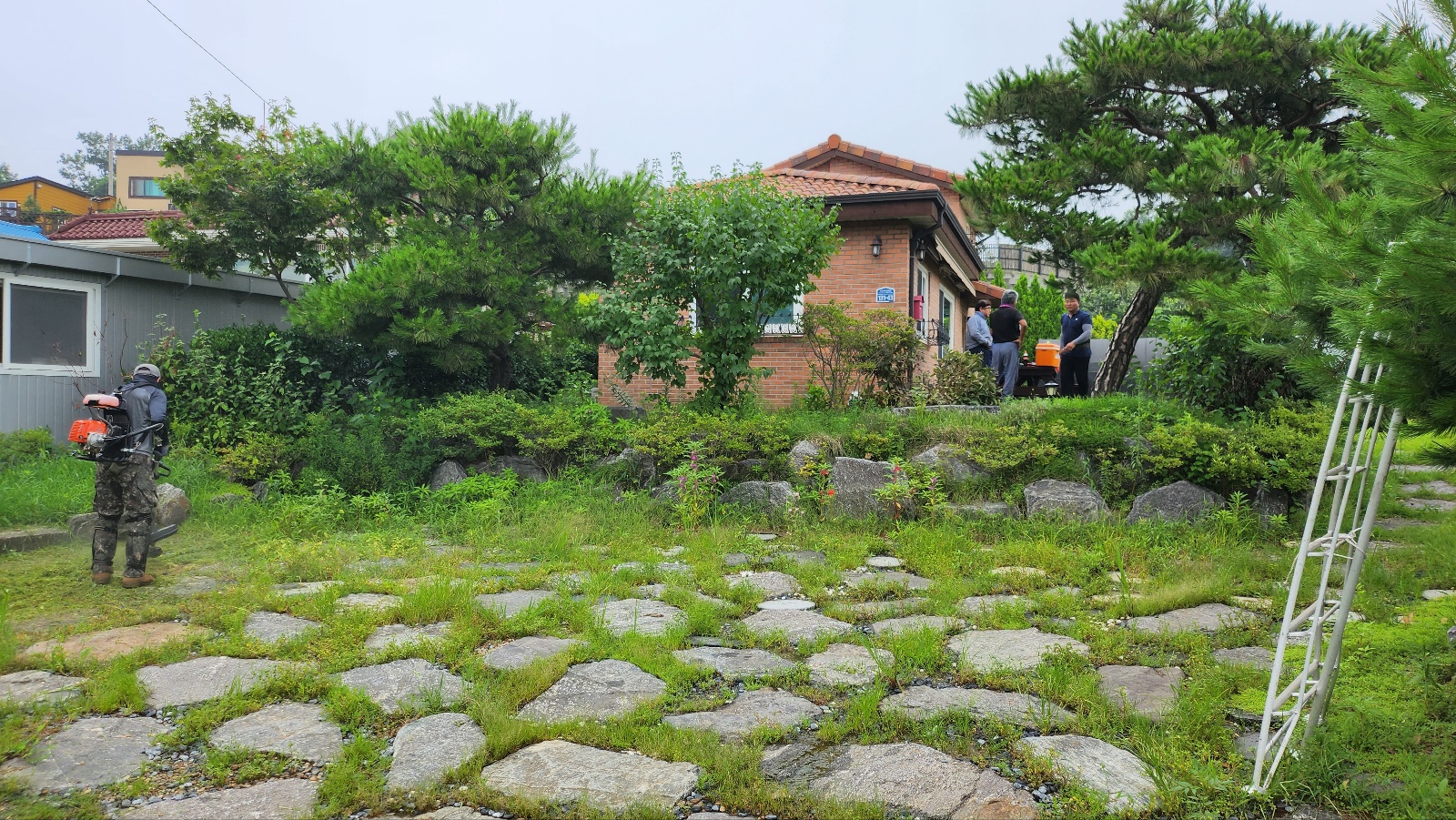 /user/f/flower5848/editor/2307/fe33e6e872a34bb05764ef937f76ea18_1689589530_5118.jpg 이미지크게보기