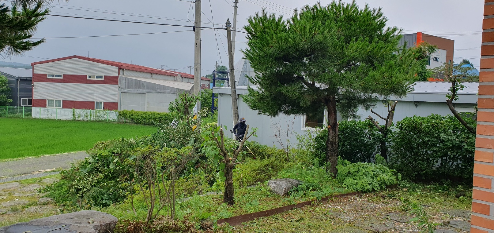 /user/f/flower5848/editor/2307/fe33e6e872a34bb05764ef937f76ea18_1689589549_5642.jpg 이미지크게보기