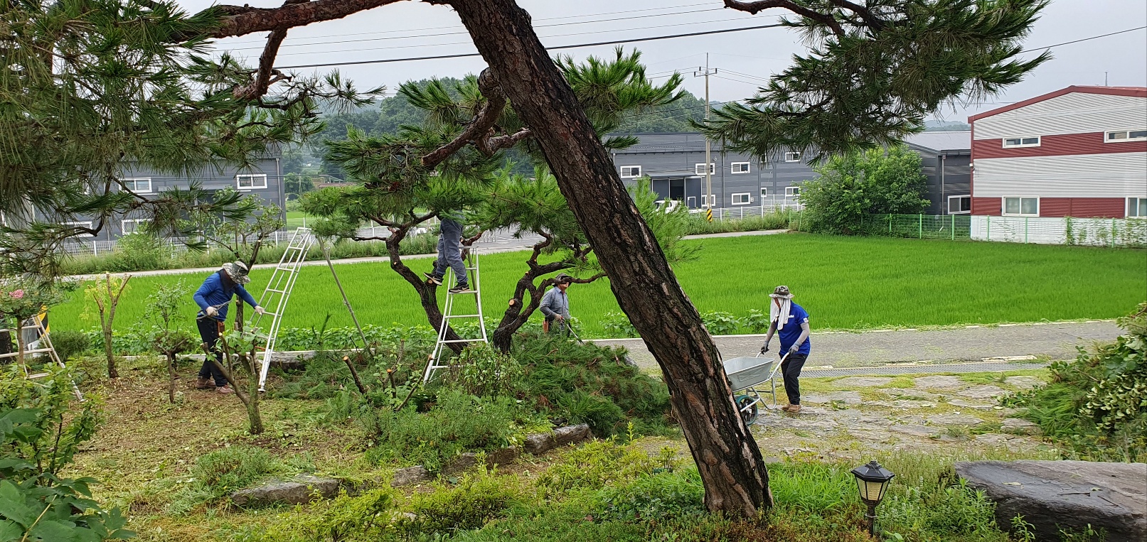 /user/f/flower5848/editor/2307/fe33e6e872a34bb05764ef937f76ea18_1689589549_9177.jpg 이미지크게보기
