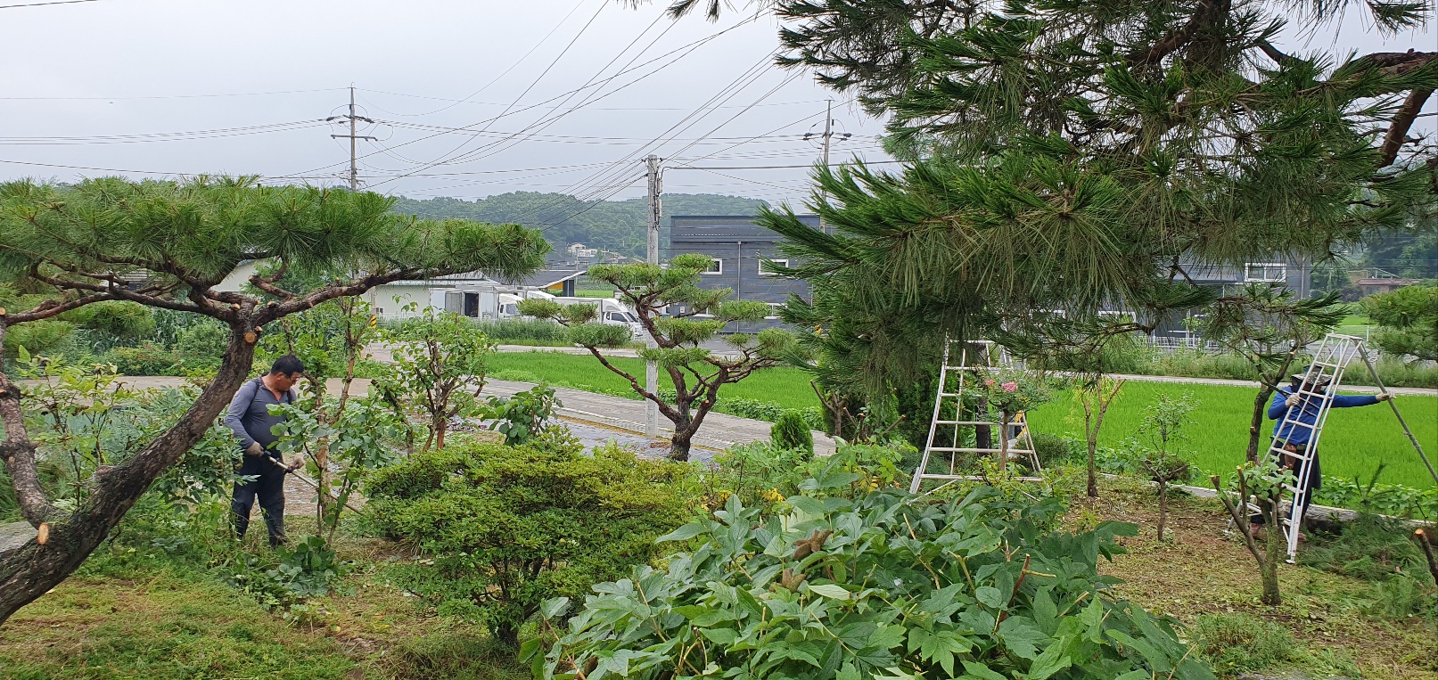/user/f/flower5848/editor/2307/fe33e6e872a34bb05764ef937f76ea18_1689589550_3219.jpg 이미지크게보기