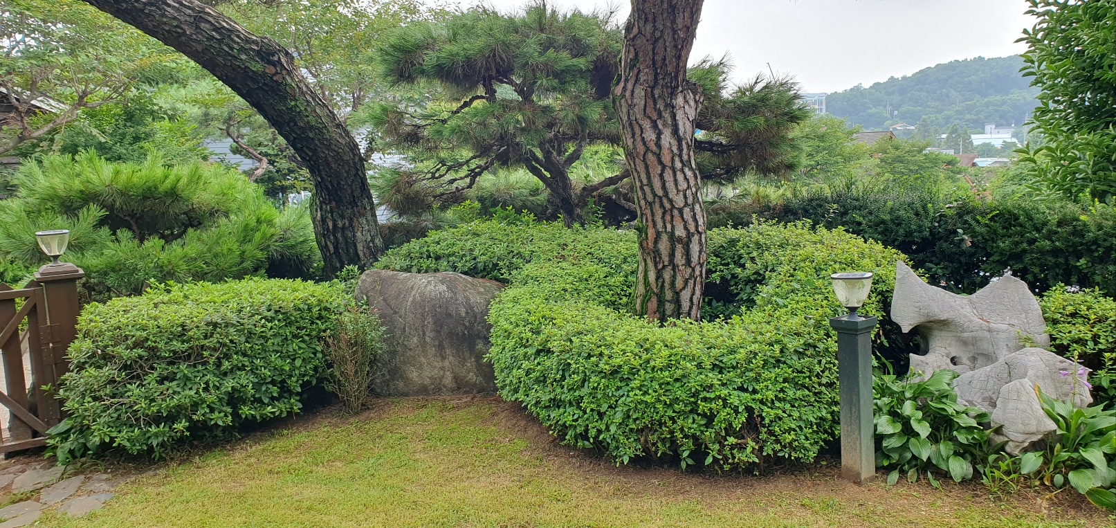 /user/f/flower5848/editor/2308/7e8a02dafaa4e04db5646b51ad90cbde_1693309038_1509.jpg 이미지크게보기