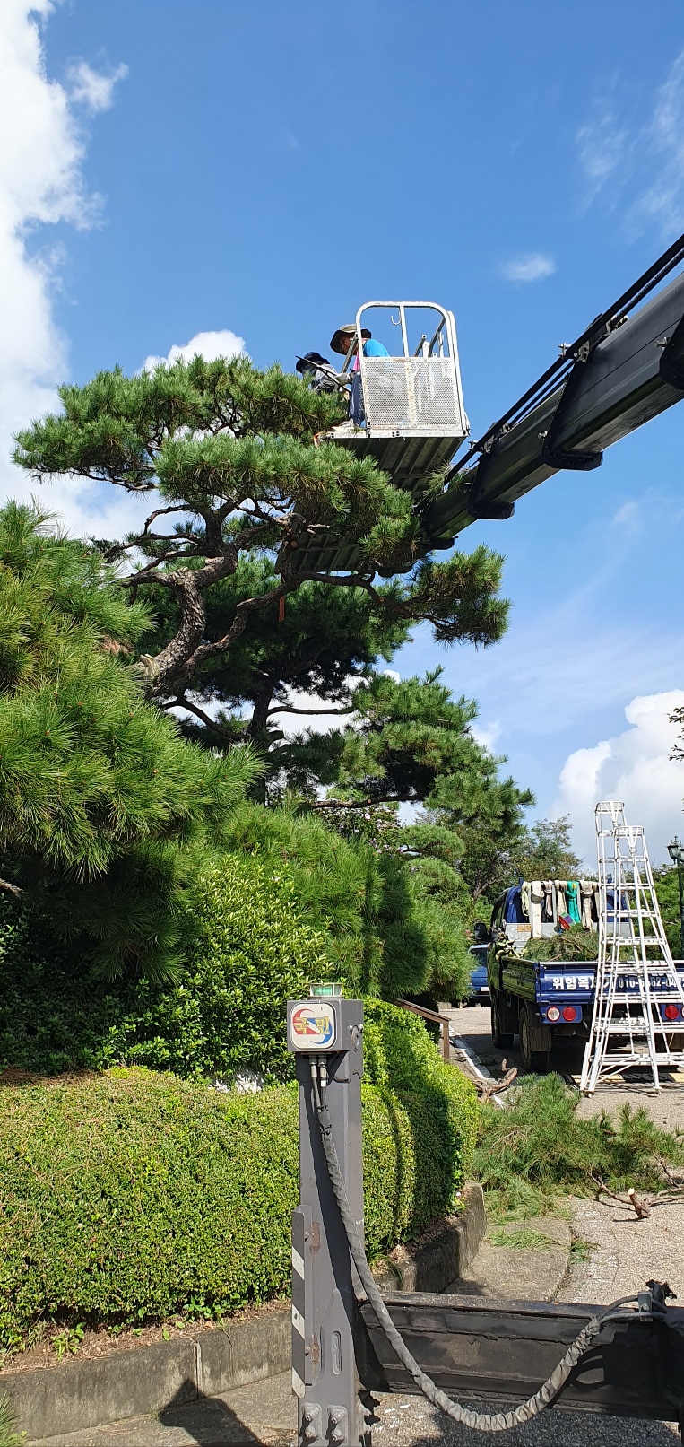 /user/f/flower5848/editor/2309/40eefafacb3709b023493b1947a18b7c_1694095468_4731.jpg 이미지크게보기