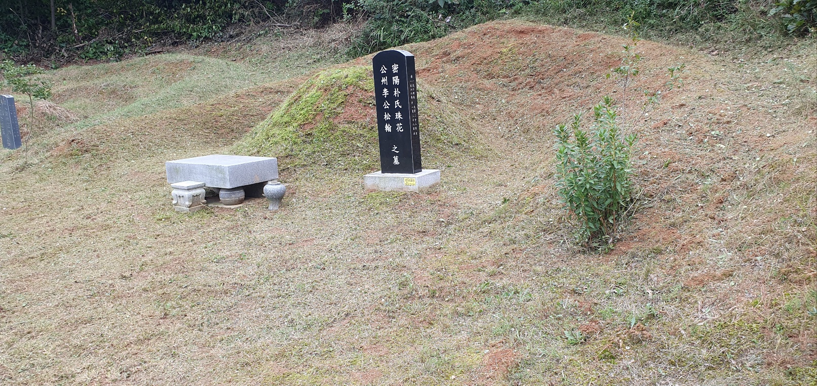 /user/f/flower5848/editor/2309/d85c210c4cc1272cbf3b52c7d1cb2f64_1695554602_1437.jpg 이미지크게보기