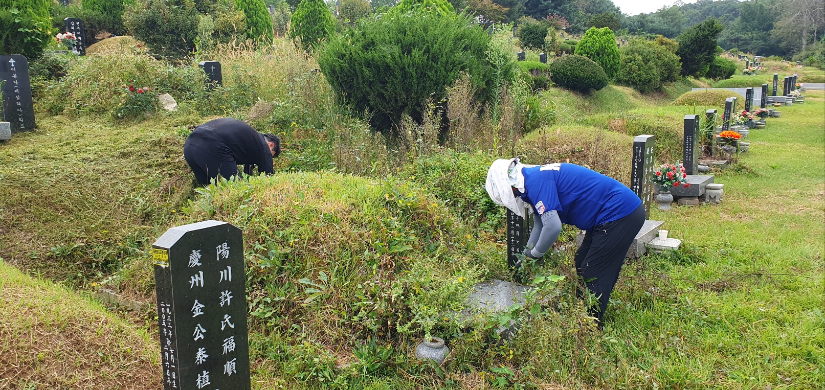/user/f/flower5848/editor/2309/d85c210c4cc1272cbf3b52c7d1cb2f64_1695554669_8788.jpg 이미지크게보기