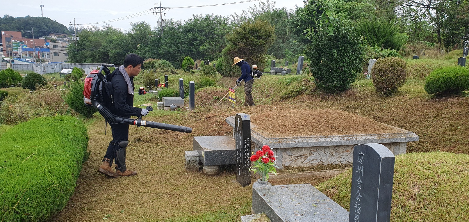 /user/f/flower5848/editor/2309/d85c210c4cc1272cbf3b52c7d1cb2f64_1695554670_2559.jpg 이미지크게보기