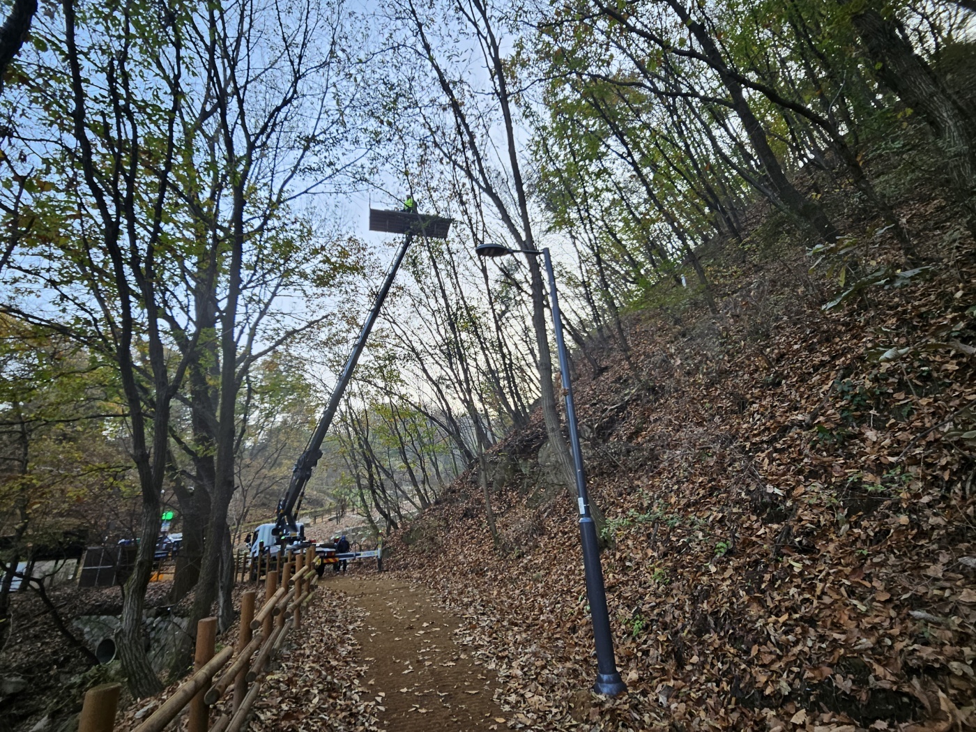 /user/f/flower5848/editor/2311/388786920538d4799b685324cb7b97bb_1700144824_0617.jpg 이미지크게보기