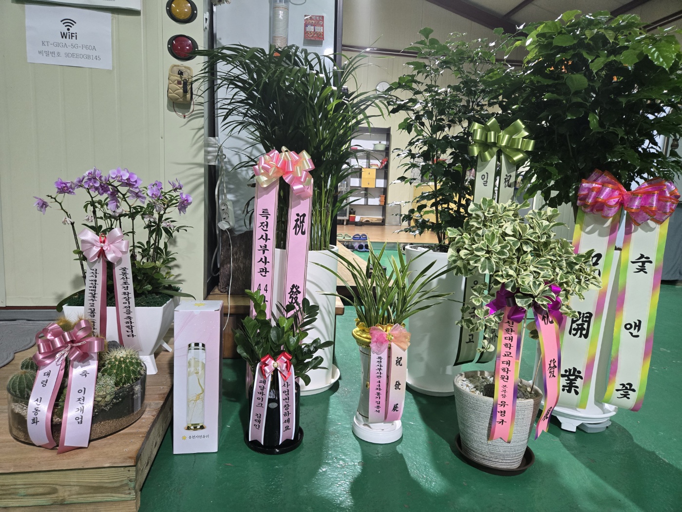 /user/f/flower5848/editor/2409/fe8abee944d973579c8cb6eff061cddc_1727619090_3892.jpg 이미지크게보기