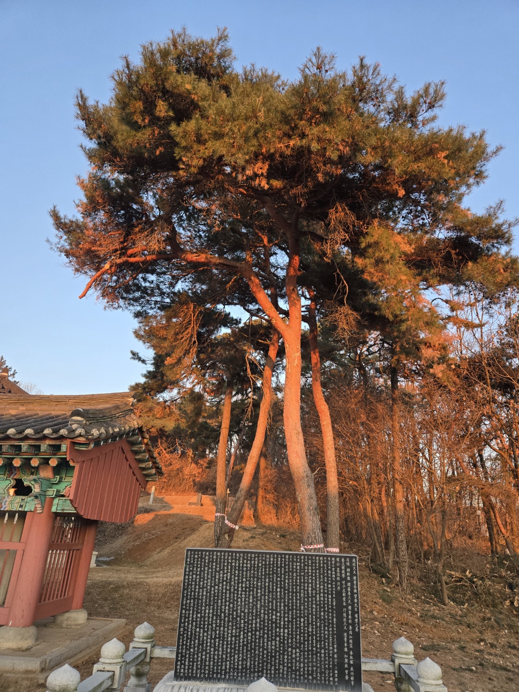 /user/f/flower5848/editor/2412/4e67eb63423121707a35e54a39ff8b2b_1735461187_3228.jpg 이미지크게보기
