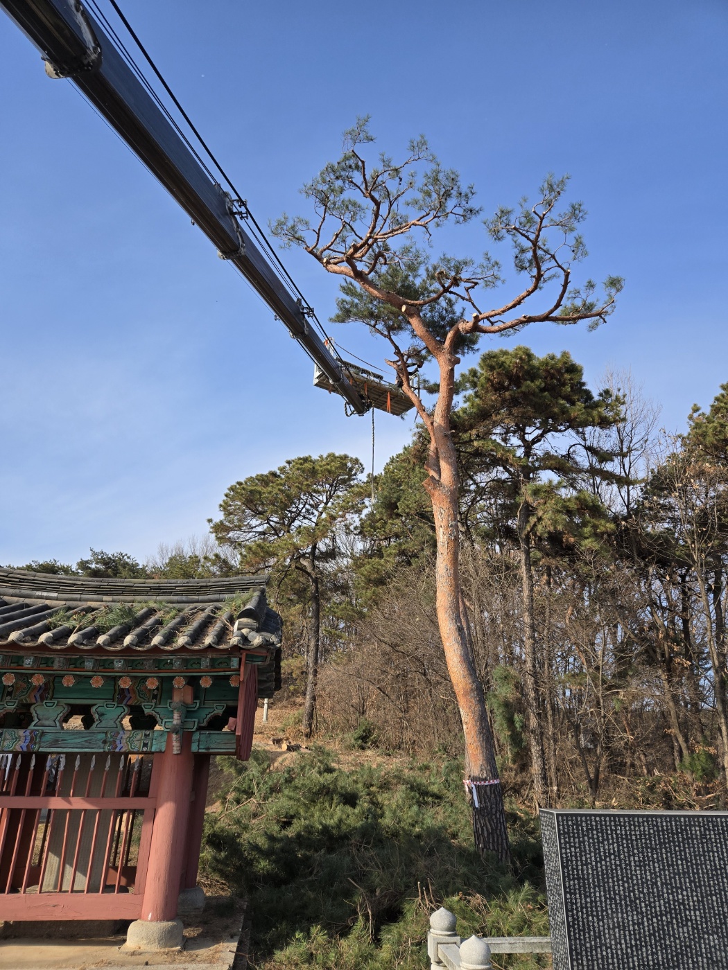 /user/f/flower5848/editor/2412/4e67eb63423121707a35e54a39ff8b2b_1735461189_6143.jpg 이미지크게보기