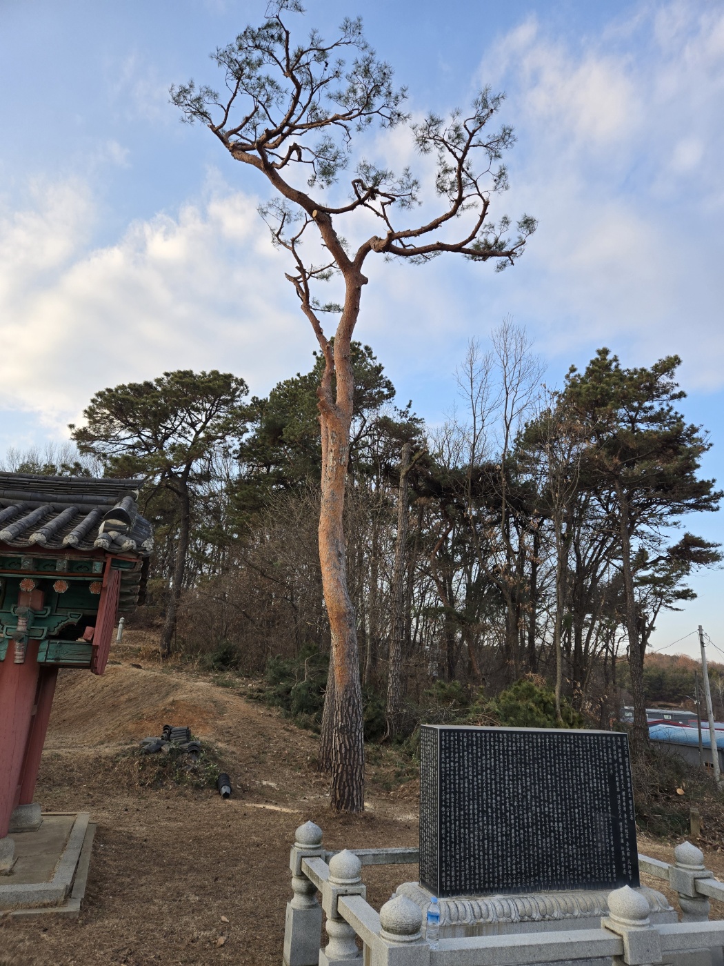 /user/f/flower5848/editor/2412/4e67eb63423121707a35e54a39ff8b2b_1735461190_0102.jpg 이미지크게보기