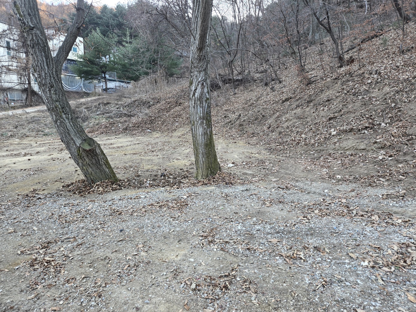 /user/f/flower5848/editor/2412/c650168d925b640024cedc83193f7af3_1734854494_0634.jpg 이미지크게보기